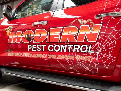 modern-pest2